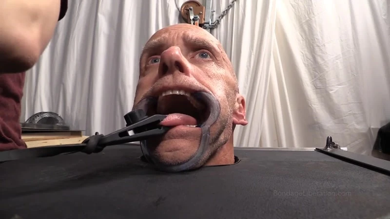 Freaked Out – Doc Rough, Elise Graves HD  (2023 | Mp4)