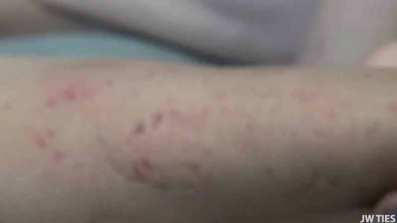 Tickled, Abused Males – Gisele Bites HD  (2023 | Mp4)