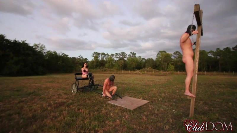 ClubDom – Vivian Decorates his Back with Whip with Vivian Leigh HD  (2023 | Mp4)