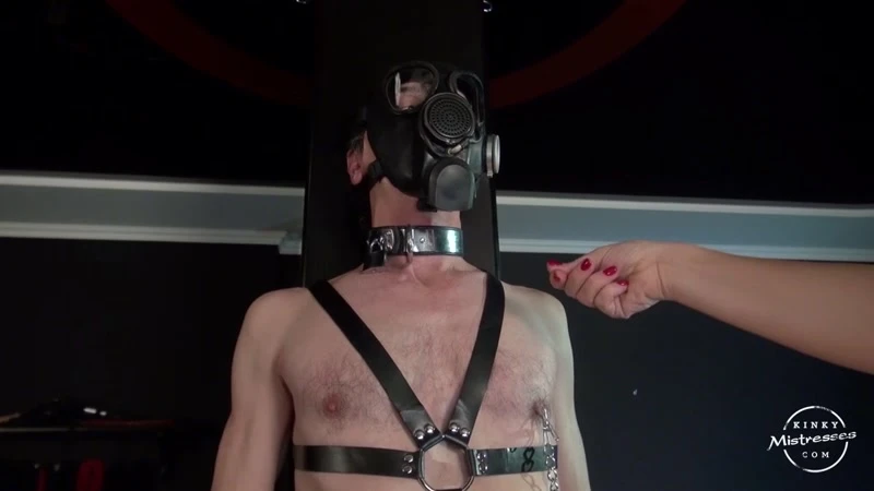 New Video with Domina M HD  Kinky Mistresses (2022 | MPEG-4)