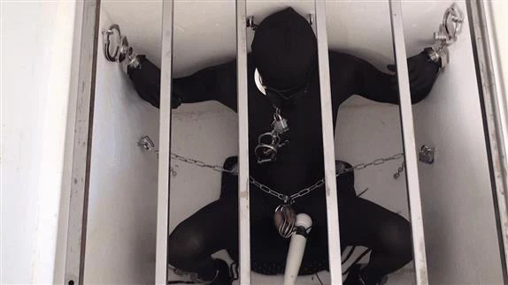 by Carlin with Cage Fantasy HD  (2025 | MPEG-4)