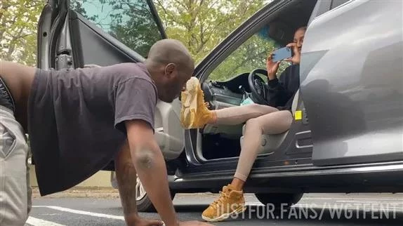 New Model Alert HD  (2025 | MPEG-4)