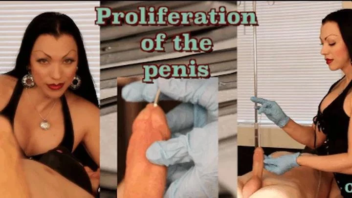 OpulentFetish - Part 1. Proliferation of the Penis HD  (2025 | MPEG-4)