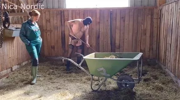 This is how stable work goes with Nica Nordic FullHD  (2025 | MPEG-4)