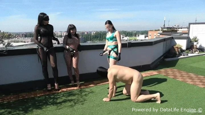 You Beg To Be Fucked with Mistress Gaia FullHD  (2025 | MPEG-4)