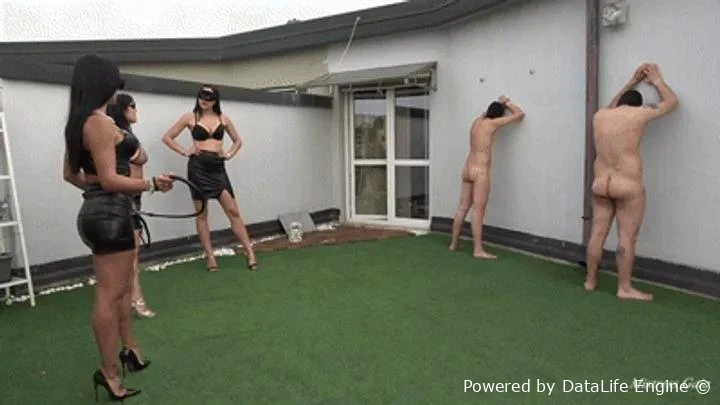 Whipping The Wall with Mistress Gaia FullHD  (2025 | MPEG-4)