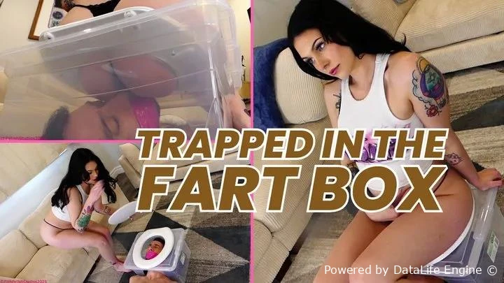 Trapped In The Fart Box - Goddess Green with Filth Fetish Studios FullHD  (2025 | MPEG-4)