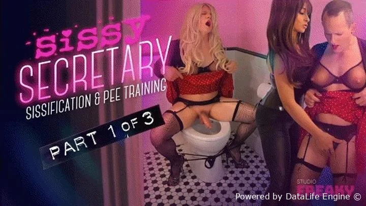 Studio Freaky - Toilet Training 101! with Mistress Stellina Obscura FullHD  (2026 | MPEG-4)