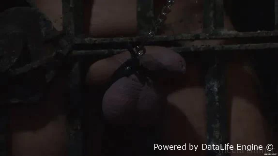 GO FOR WALK WITH THE BALLS - German Femdom with Sheela Sinner FullHD  (2026 | MPEG-4)